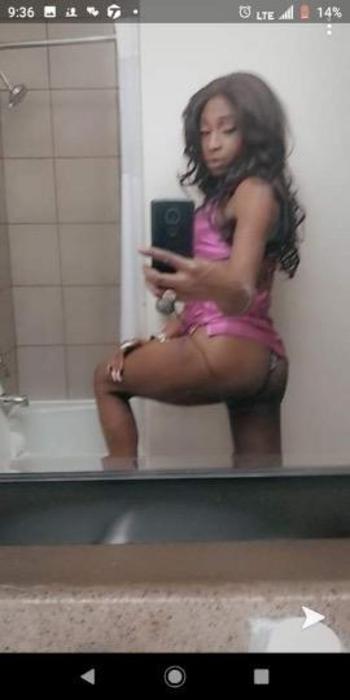 8728068567, transgender escort, Madison