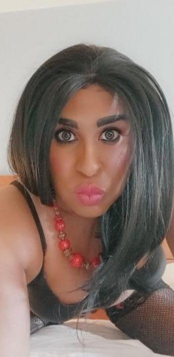 7865029512, transgender escort, Madison